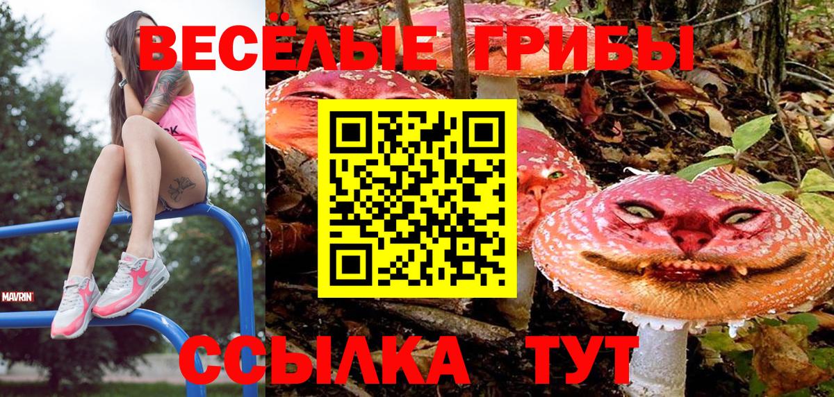 Псилоцибиновые грибы мицелий  Вход с VPN  Кунгур  Галлюциногенные грибы ЛСД 